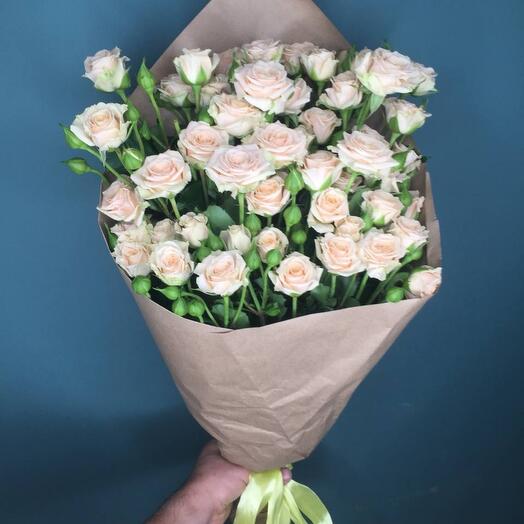 Rose bush collection