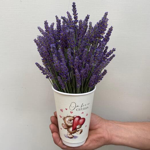 Fresh lavender