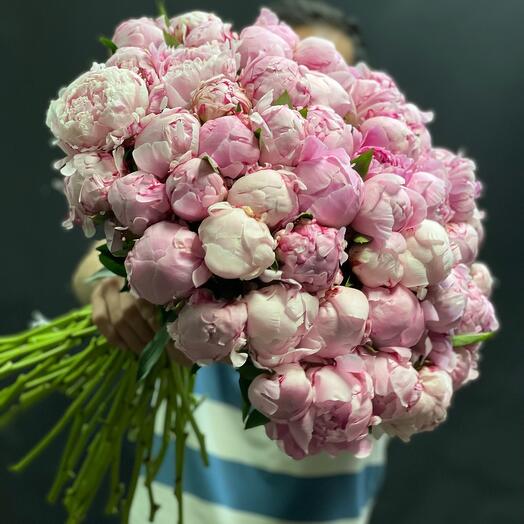 Peony 51