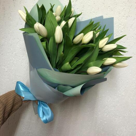 21 white tulip