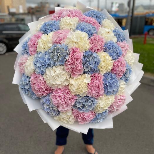 Bouquet of hydrangea mix 51