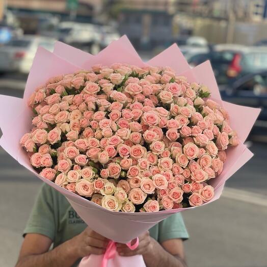Rosas de arbusto 49 piezas
