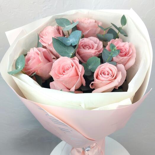 Softness
