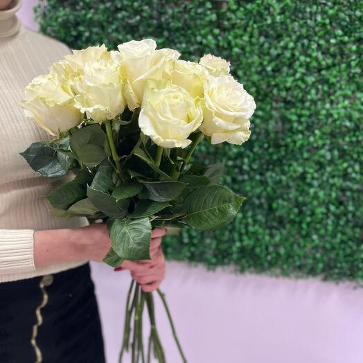 Розы Эквадор