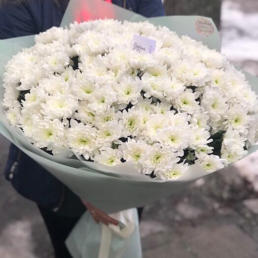 Хризантемы 17 штук