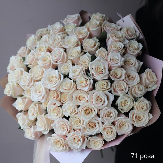 Букет из 71 розы "Талея"