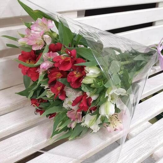 11 alstroemeria MIX