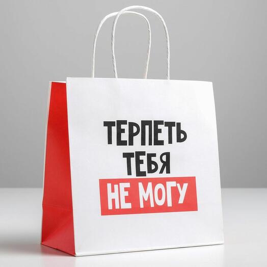 Подарочный пакет Терпеть тебя не могу (22 х 22 х 11 см)
