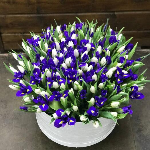 Тюльпаны с Ирисами в коробке 🌷