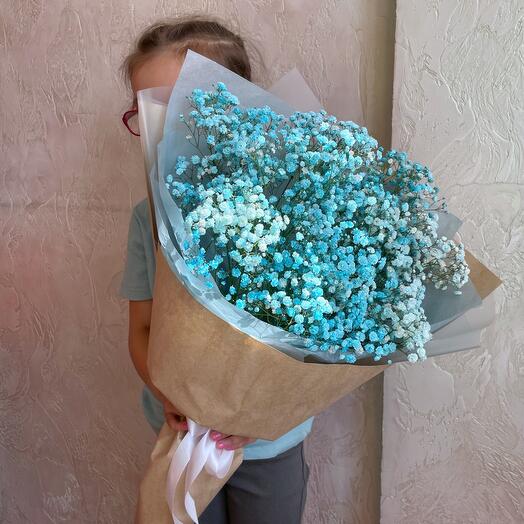 Облако Голубой гипсофилы S