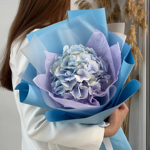 A cloud with hydrangea
