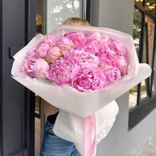 Malvavisco Rosa