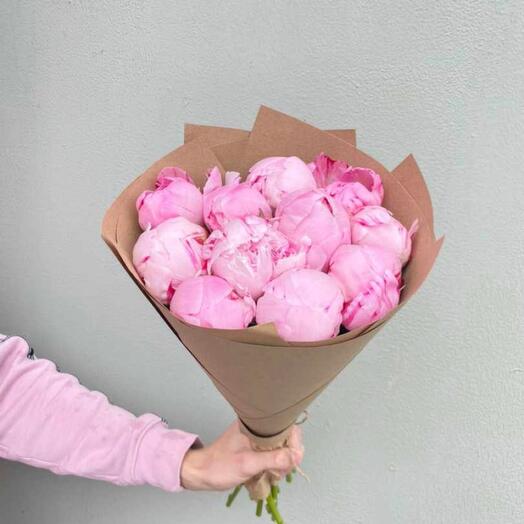Peonies pink Sarah Bernhardt 9pcs