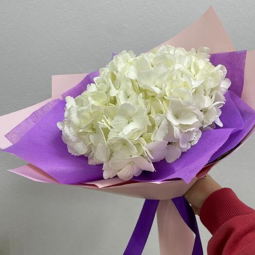 White hydrangea