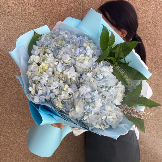 Hortensias