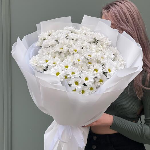 Пушистые хризантемы