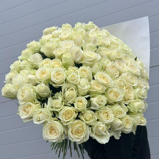 Bouquet of 101 white roses