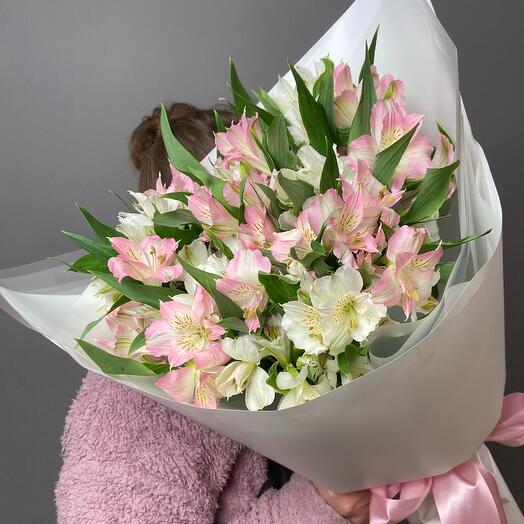 Mono ramo de 15 alstroemeria