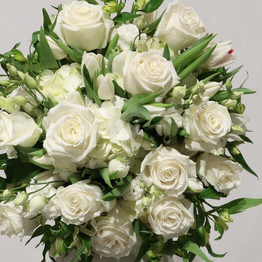 Hydrangea flowers in Bettens, Canton de Vaud, Switzerland, buy