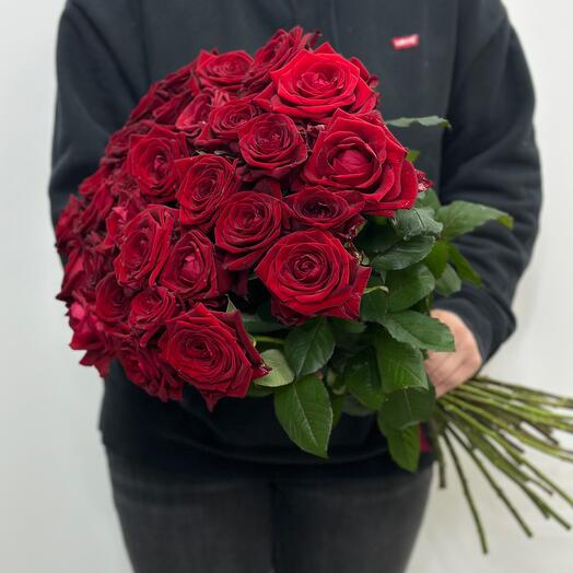 Редлав 31