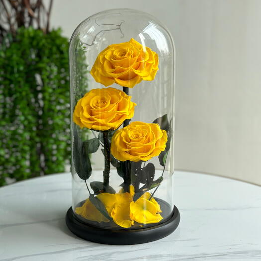 Forever Rose Yellow Large (preserved rose)