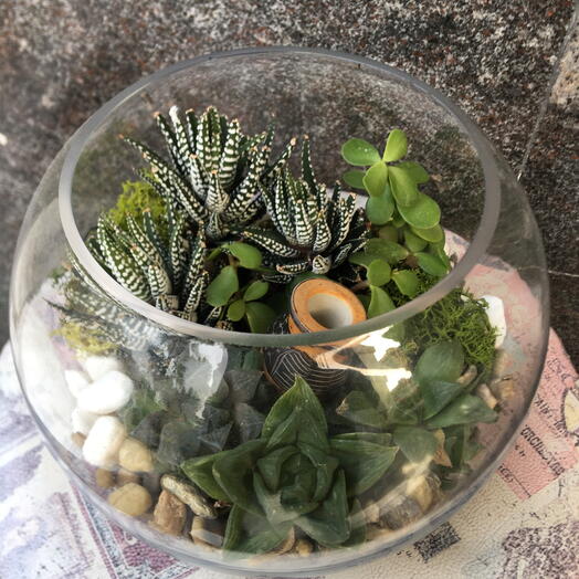 Round Glass Terrarium