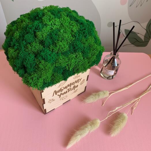 Коробочка со мхом 🌳 - Любимому Учителю -