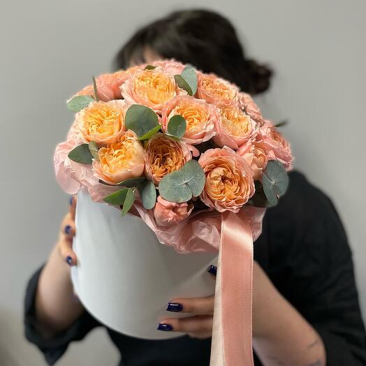 Box with peony-shaped shrub roses Julietta