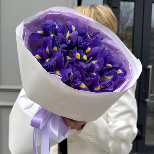 Ramo de iris agraciados 19 piezas