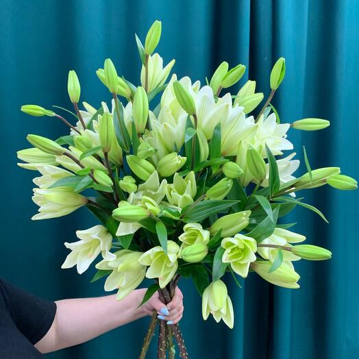 An incredible bouquet of Lilies