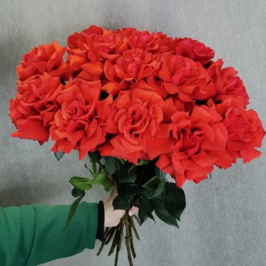 Французкая роза 15 шт