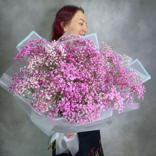 Suave gypsophila