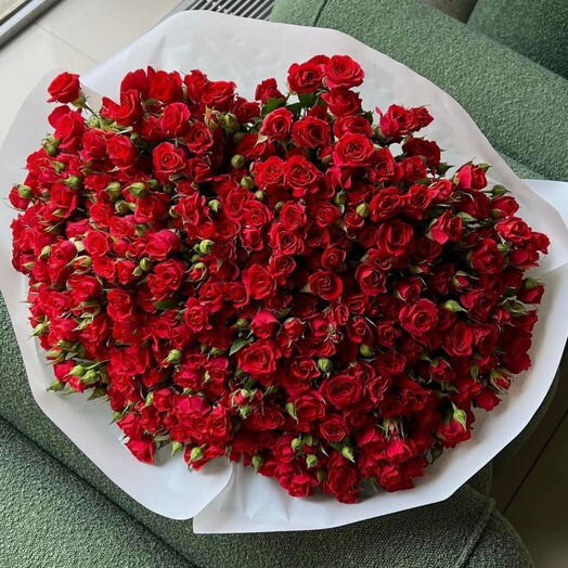 Незаменимая классика кустовых