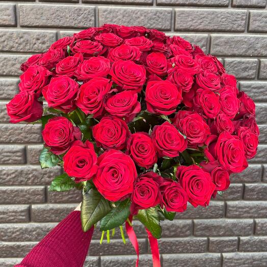 51 красная роза 🌹