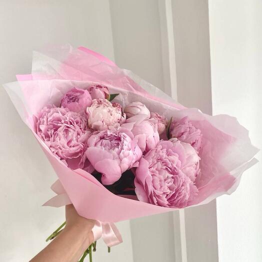Пионы розовые Sara Bernar 11