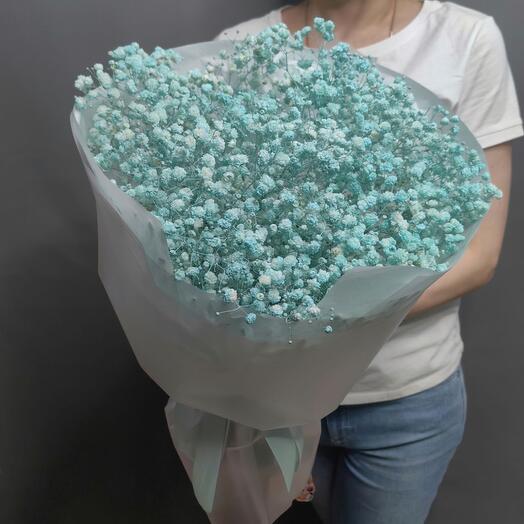 Gypsophila aerea del color " Tiffany "(Art.2805)