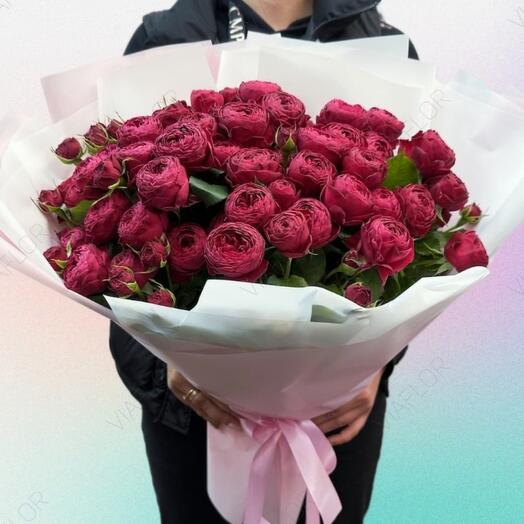 Пионовидная роза Рэд Пиано