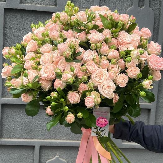 Кустовая роза бомбастик