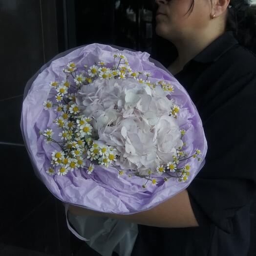Гортензия 🌸
