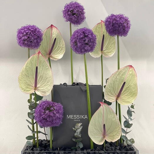 Purple Allium and Green Anthurium With Messika Paris in Acrylic Tray filled with Black Pebbles