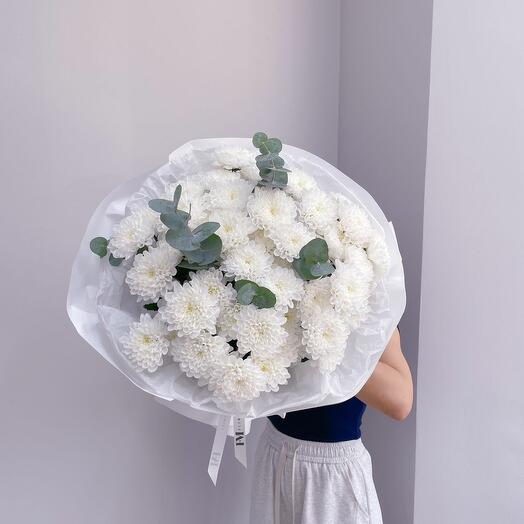 Белоснежная мечта