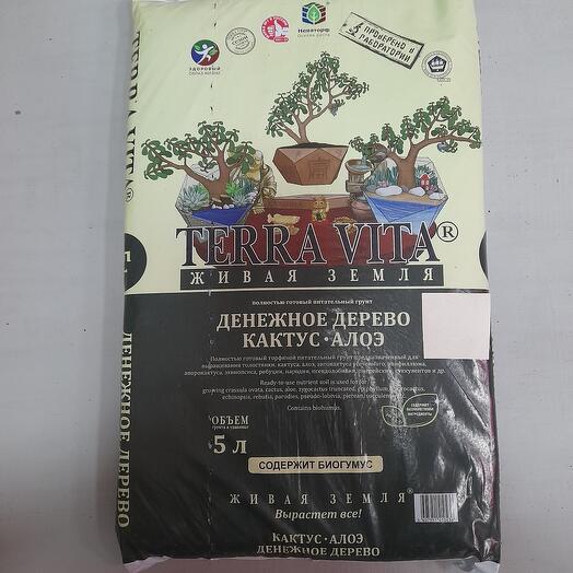 Живая земля, денежное дерево, кактус,алое