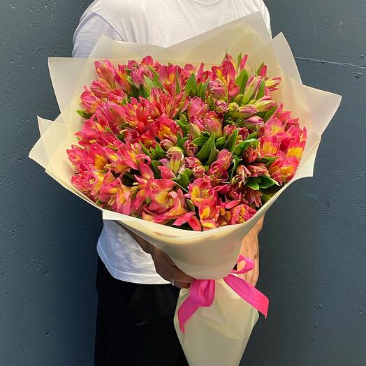 Alstroemeria xl