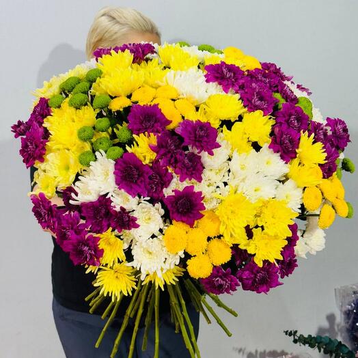 Цветы хризантемы разноцветные в большом букете без упаковки