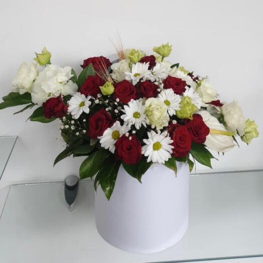 Элегантность