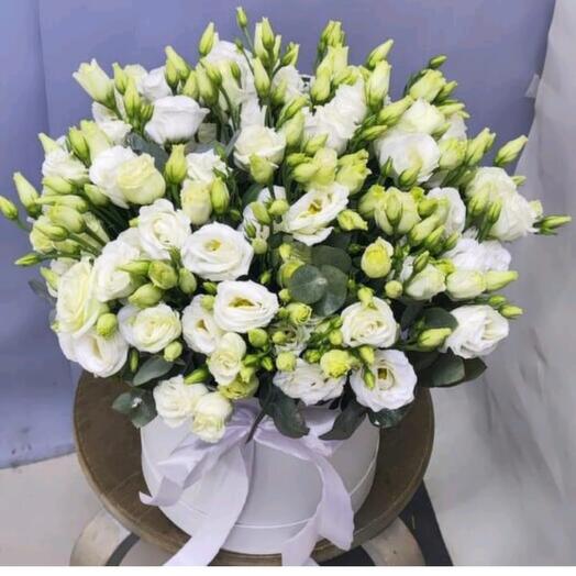 Flowers in a box " Eustoma 25"