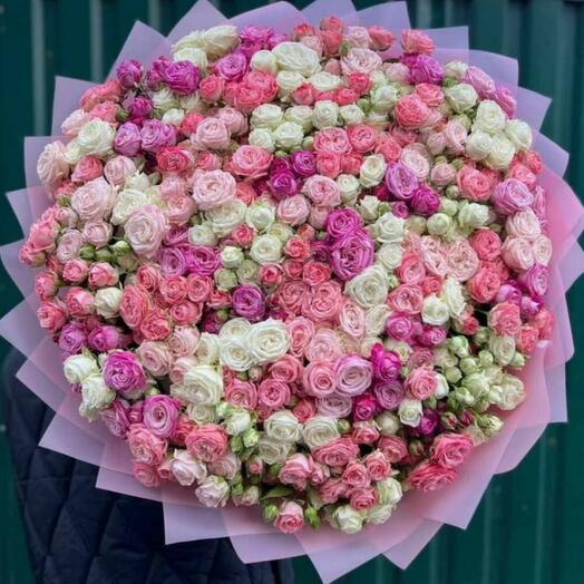 101 КУСТОВАЯ РОЗА