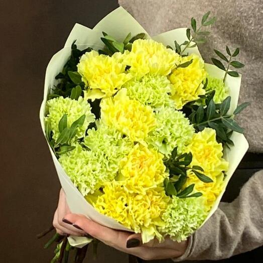 Букет ярких гвоздик 15 шт