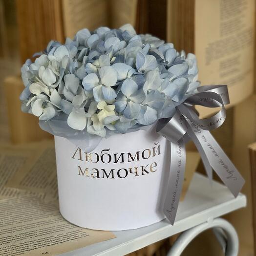 Delicate hydrangea in a stylish hatbox