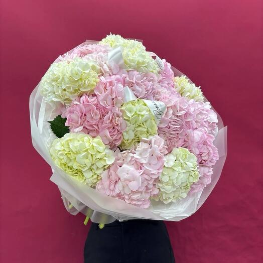 Букет из гортензии 15 шт